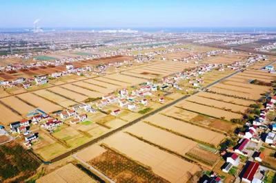 啟東鄉村游再登央視，沙地圩田文化與創新投資雙輪驅動