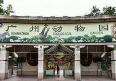 輕松規(guī)劃出游 攜程旅游一站式服務指南